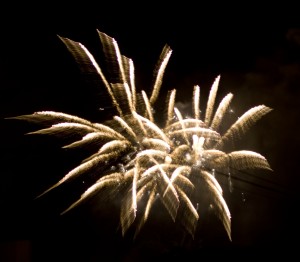 Happy New Year! Celebrate new ways to provide healthcare! Happy New Year! Celebrate new ways to provide healthcare!